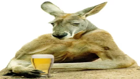 Aussies fall prey to scams