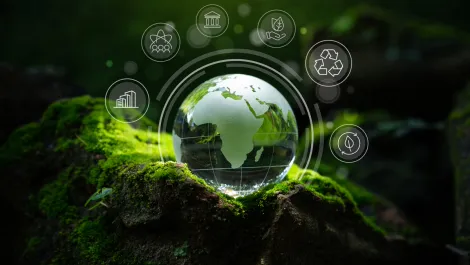 Sustainability managers overlook IT carbon emissions